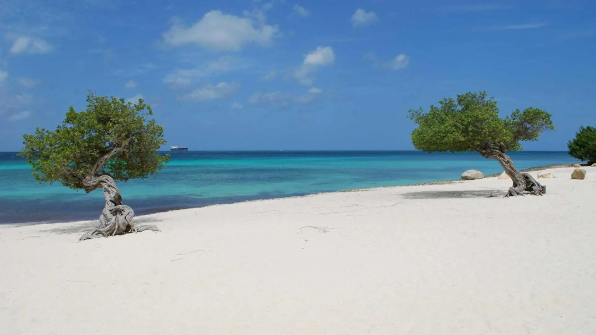 بيت للعطل Beachfront - Precious Ruby 2Br Condo - Bc355 شاطئ بالم