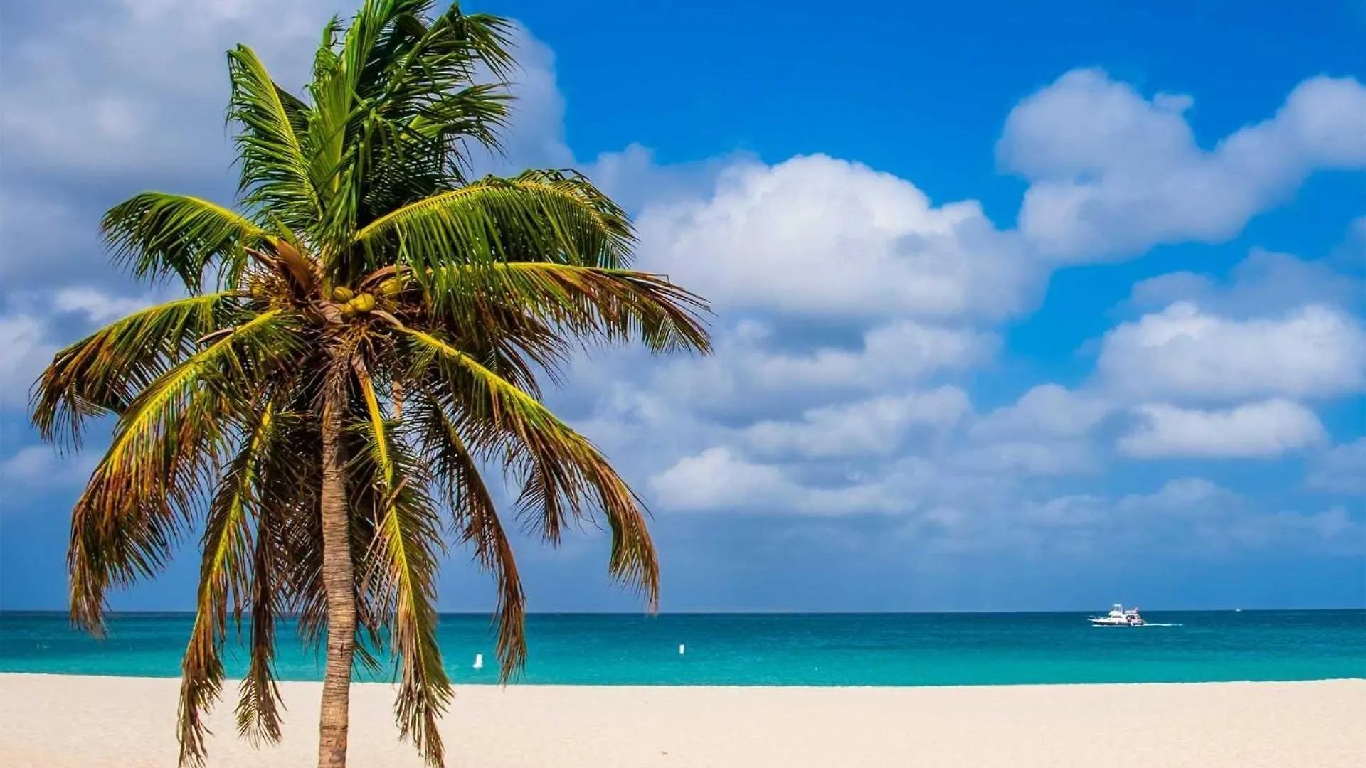 Beachfront - Precious Ruby 2Br Condo - Bc355 شاطئ بالم